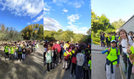 Jornada MIG 4º primaria